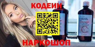 стафф Гай