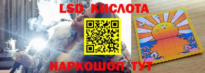 PSILOCYBIN Гатчина