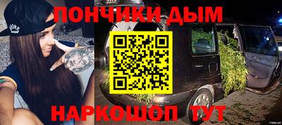 PSILOCYBIN Гатчина