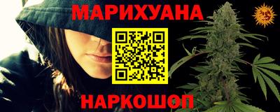 стафф Гай