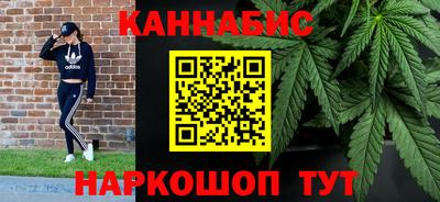 стафф Гай