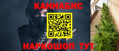 PSILOCYBIN Гатчина