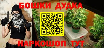 PSILOCYBIN Гатчина