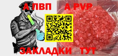 стафф Гай